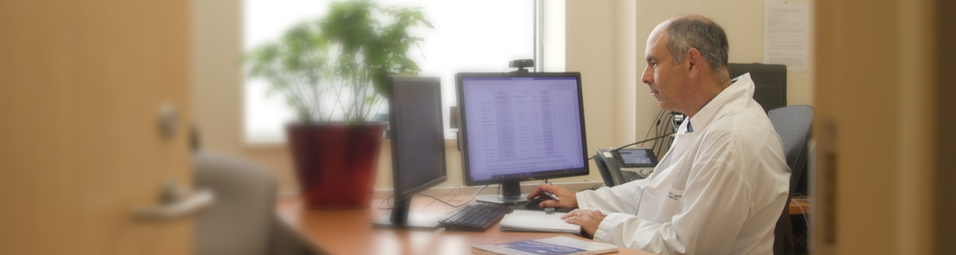 Physician at his computer reading Clinical Care Pathways